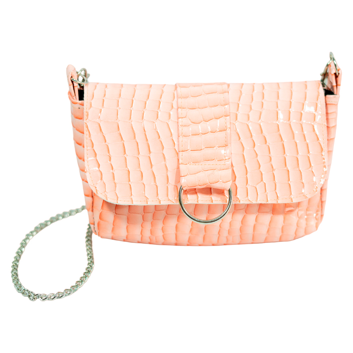 Cartera con Cadena
